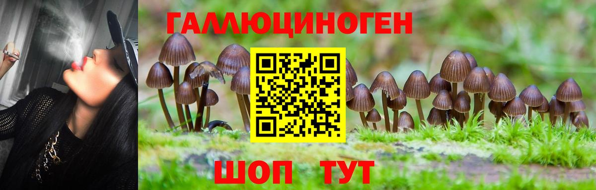 цена   Вход с VPN  Москва  Псилоцибиновые грибы ЛСД 